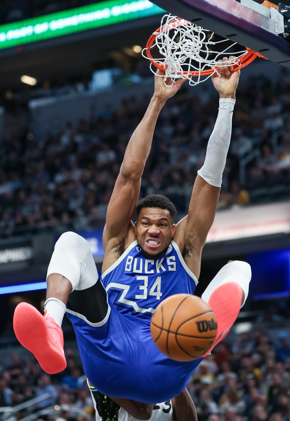 的桃花源景 的桃花源景